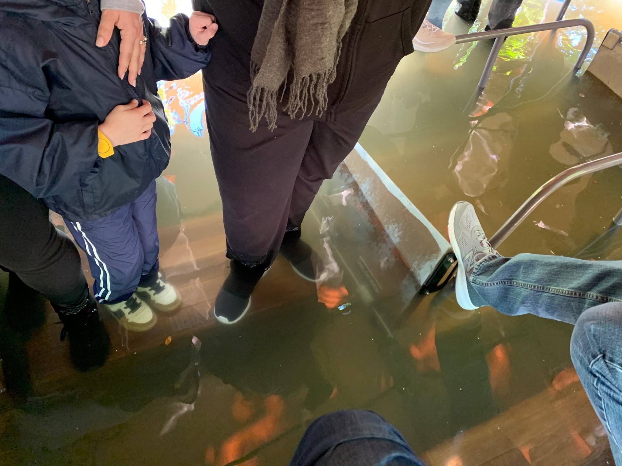 O barco de cruzeiro Disney Jungle acaba de afundar - com pessoas a bordo