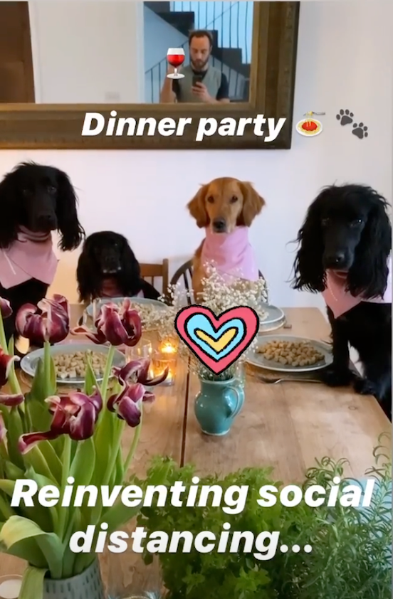 O irmão de Kate Middleton oferece uma festa de chá para seus cães!