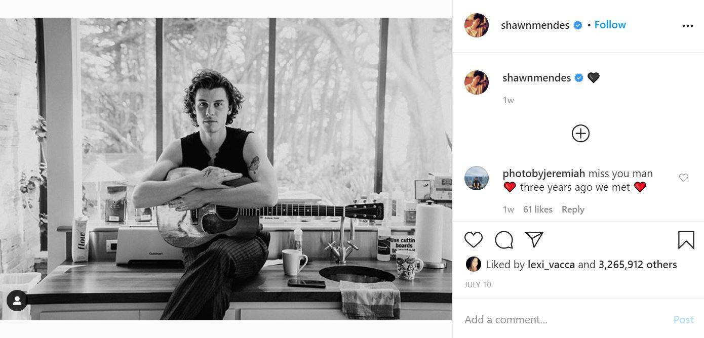 10 postagens no Instagram de Shawn Mendes que farão você amá-lo ainda mais