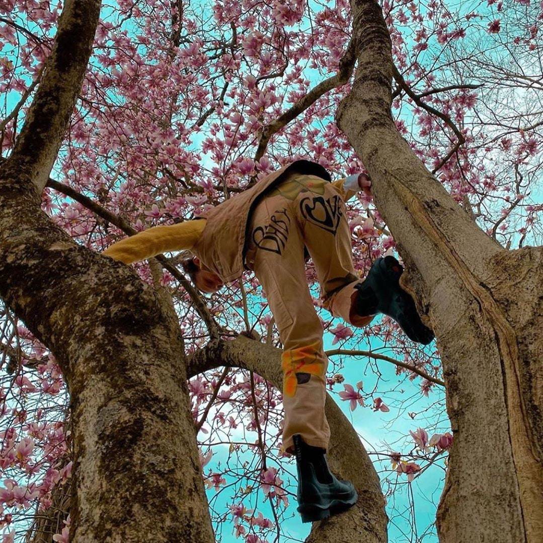 Bella Hadid está vivendo sua melhor vida, escalando árvores e sendo uma com a natureza