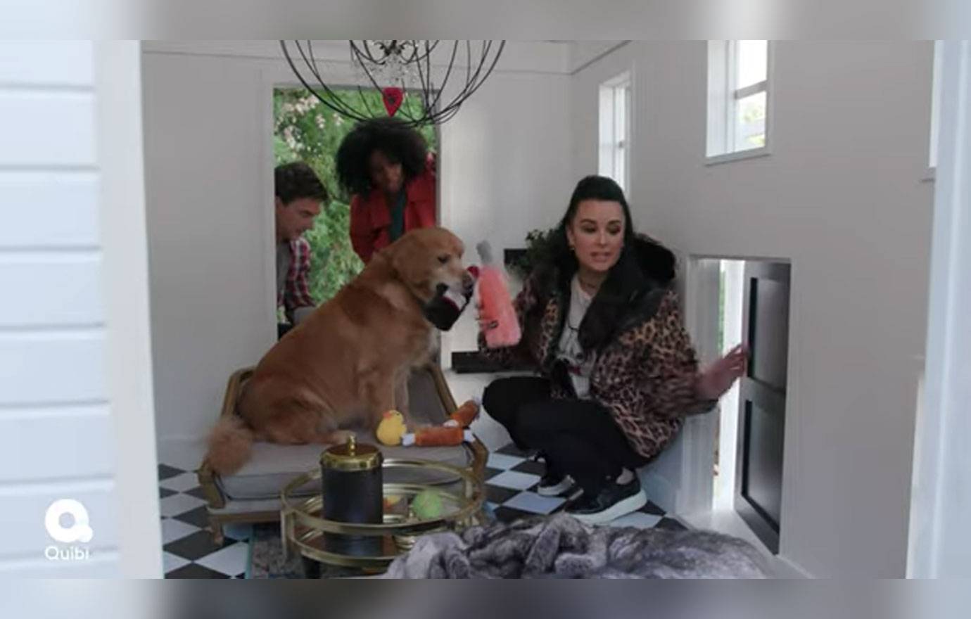 O novo show de Tyler Cameron apresenta casas de cachorro personalizadas construídas para cães de elite