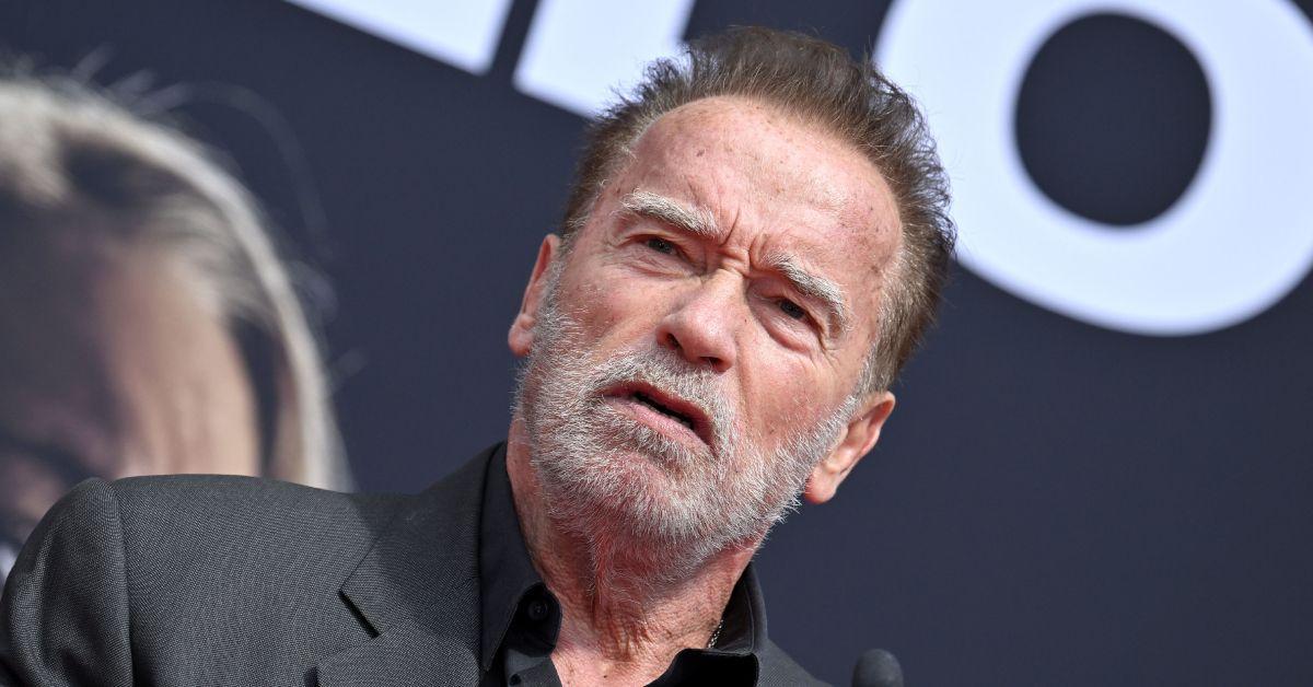 Arnold Schwarzenegger agora