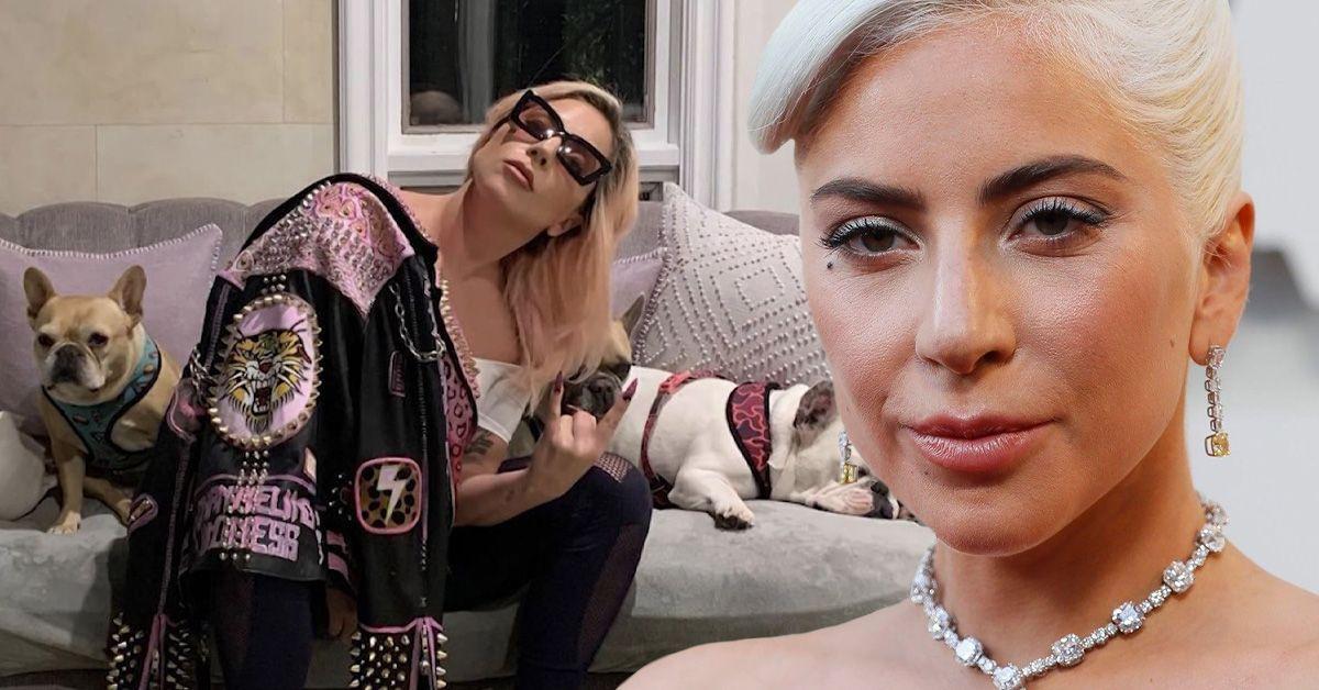 Os cachorros de Lady Gaga estão vivendo uma vida de luxo anos depois de terem sido roubados?