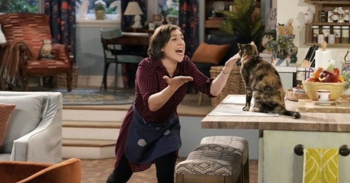 ‘Big Bang Theory’ Star Mayim Bialik Just Fangirled Over Taylor Swift via um gato