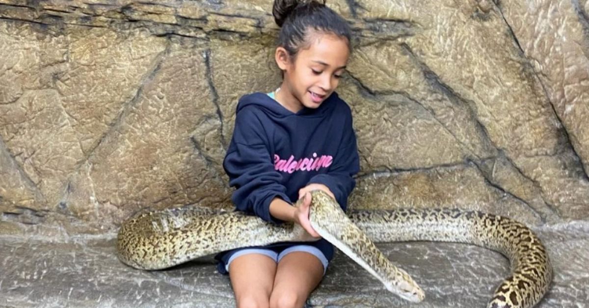 Filha de Chris Brown, realeza, não mostra medo em segurar grandes cobras