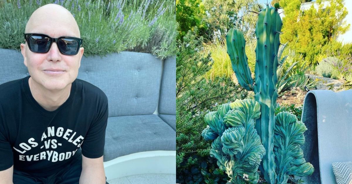Mark Hoppus, do Blink-182, compartilha o jardim, comparando seu cultivo de cactos com a mutação de seu câncer