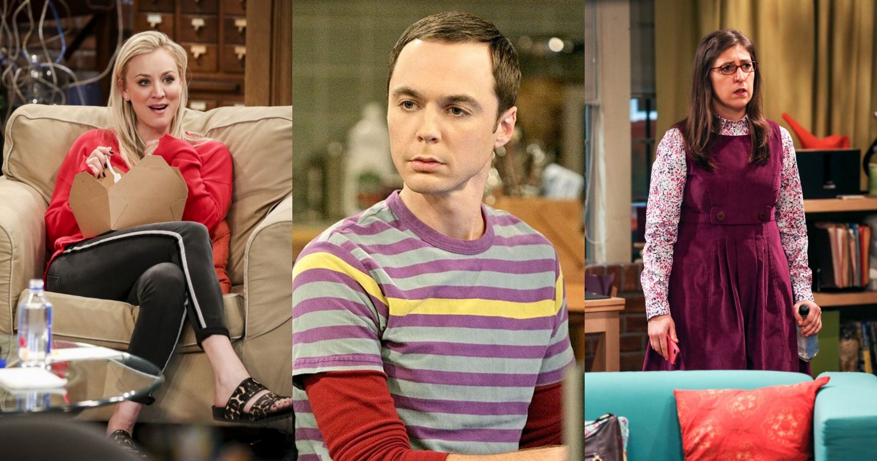 O elenco de The Big Bang Theory (classificado por patrimônio líquido)