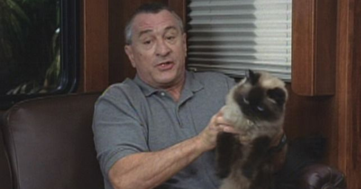Robert De Niro adotou Jinx, o gato, depois de filmar Meet The Parents?