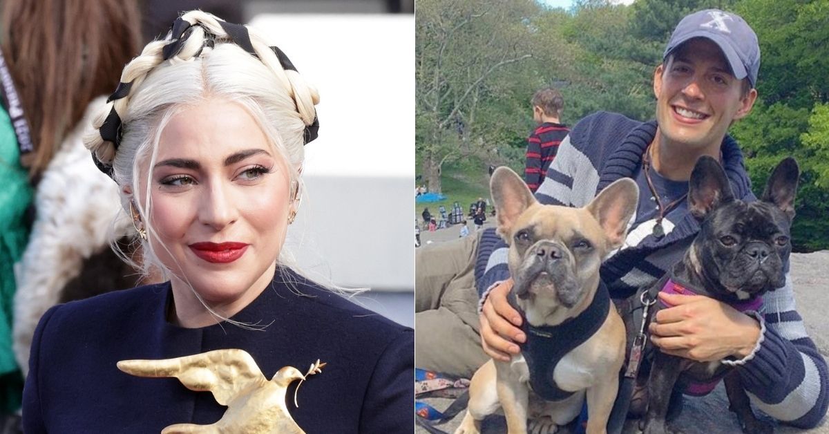 Encontrados cães de Lady Gaga – mas os fãs ainda estão furiosos. A atenção não é para atirar na vítima