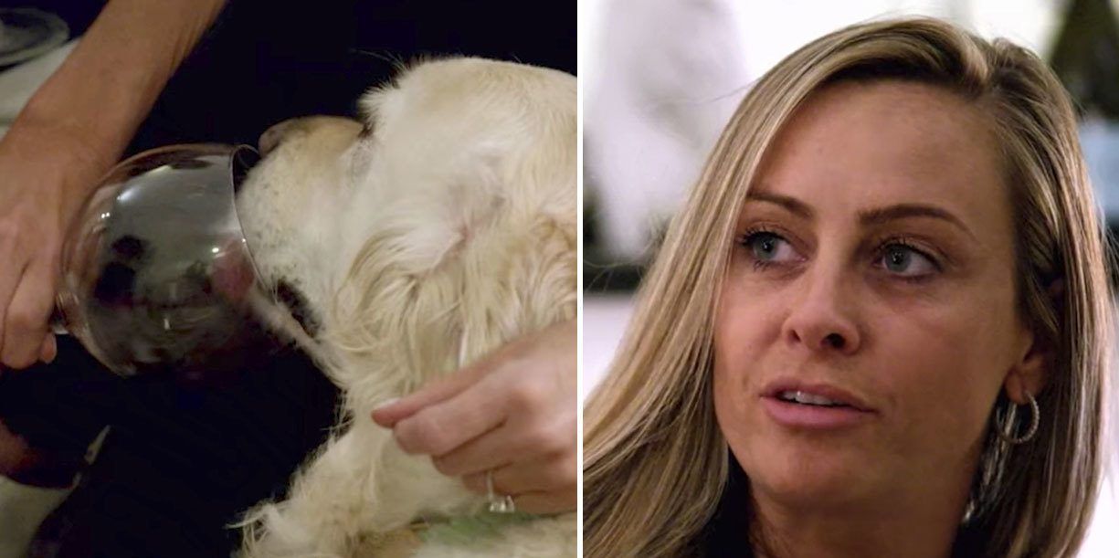 Jessica Batten de “Love Is Blind” dá vinho ao cachorro e os fãs estão fumegando
