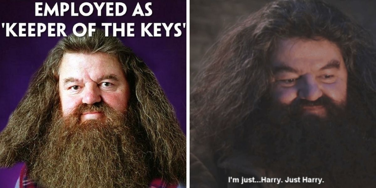 20 memes hilariantes sobre Hagrid, não podemos parar de rir de