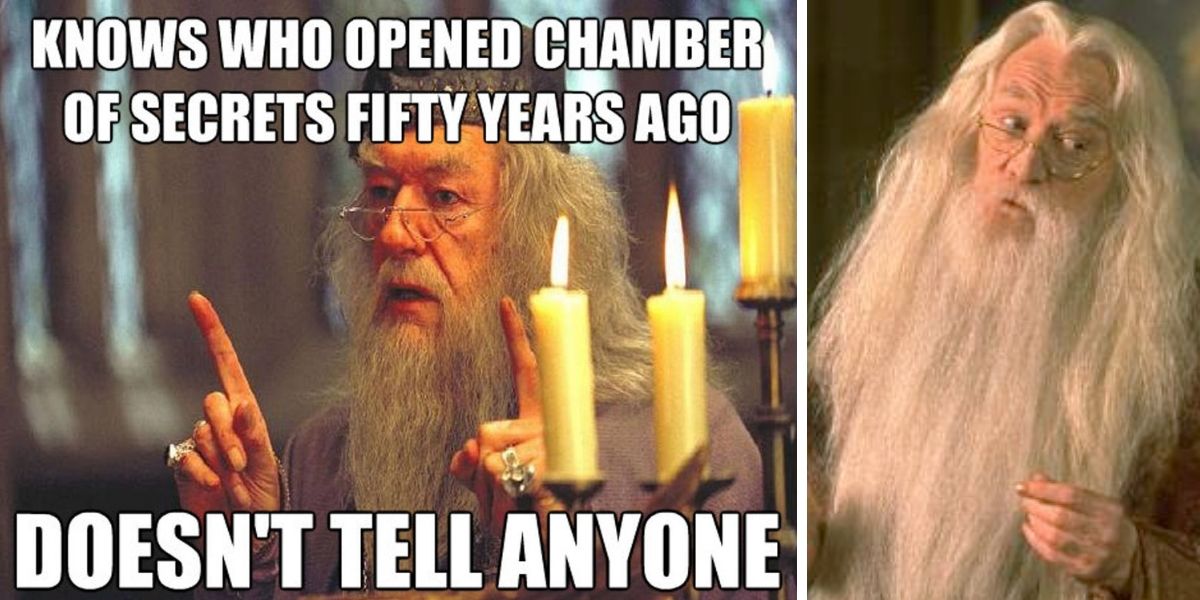 20 memes hilariantes sobre Dumbledore, não podemos parar de rir de