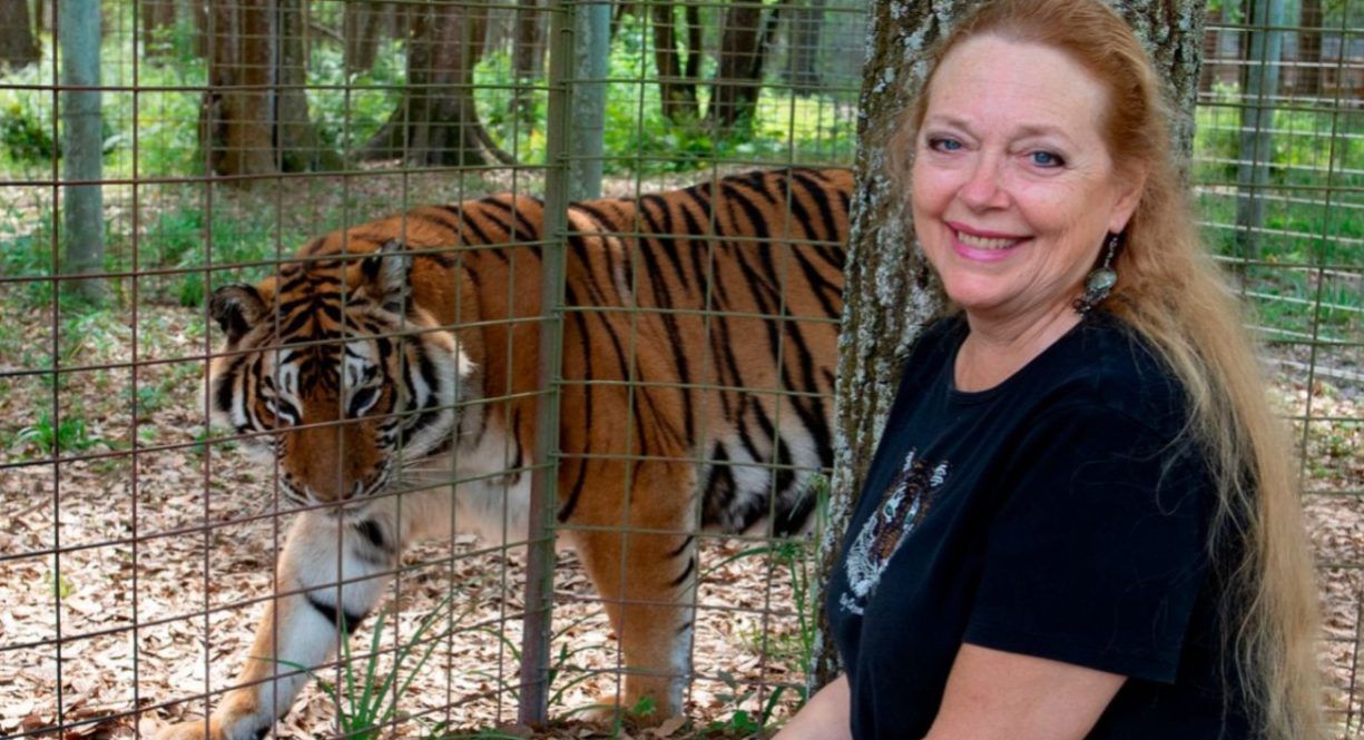 Novo Tiger King Limited Series Zones In On Carole Baskin’s Missing Husband Case