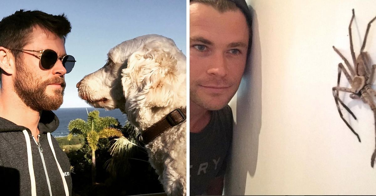 15 fotos que mudam a maneira como os fãs de Thor veem Chris Hemsworth