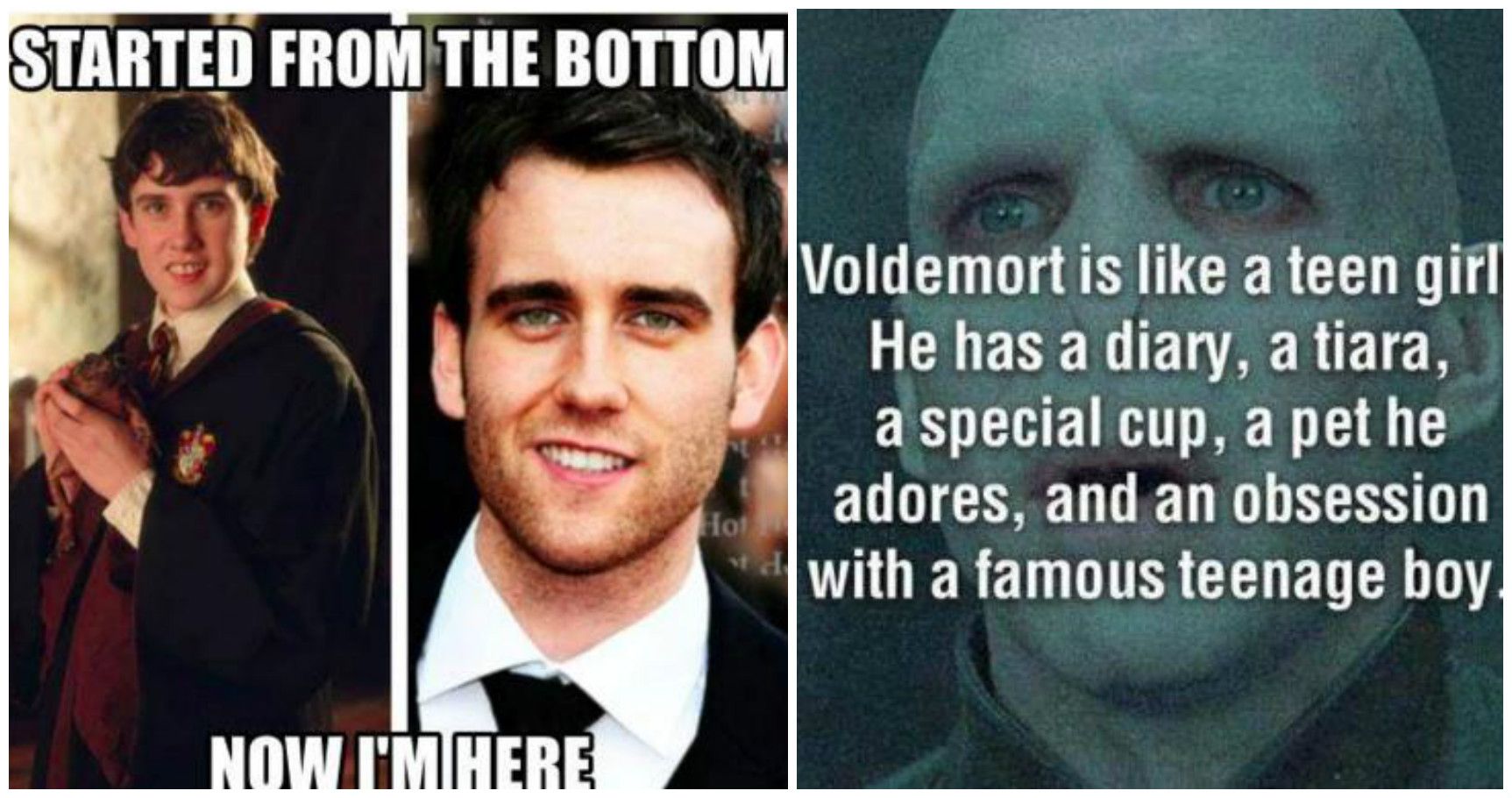 15 hilários memes de ‘Harry Potter’ que somente os verdadeiros fãs entenderão