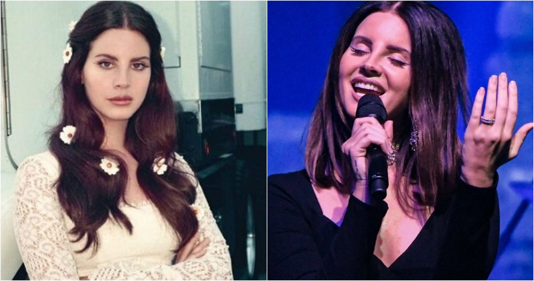 10 coisas que os fãs não sabiam sobre Lana Del Rey