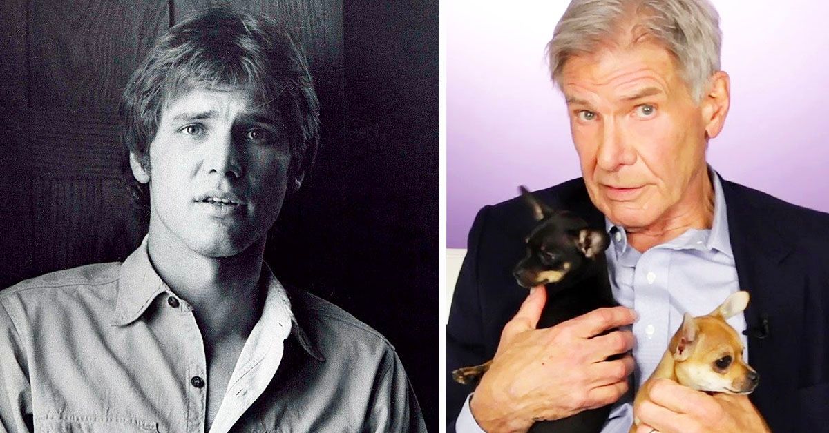 Harrison Ford aos 77 anos: tudo o que há para saber