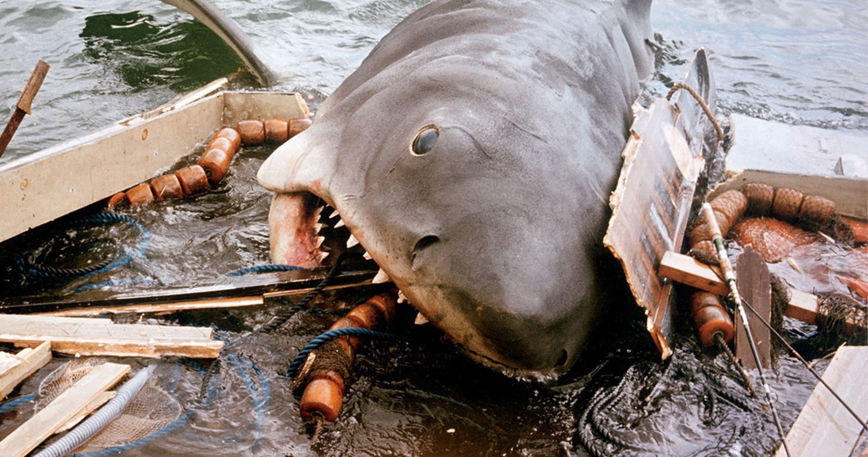 Oito melhores filmes de tubarão (e 8 terríveis)