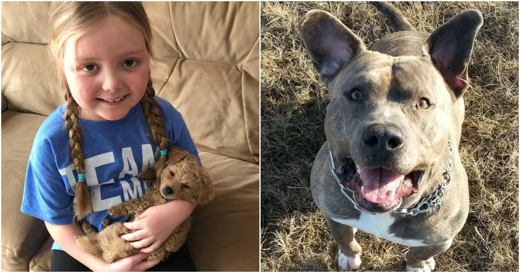 Garota com tumor pede fotos de cachorro à Internet