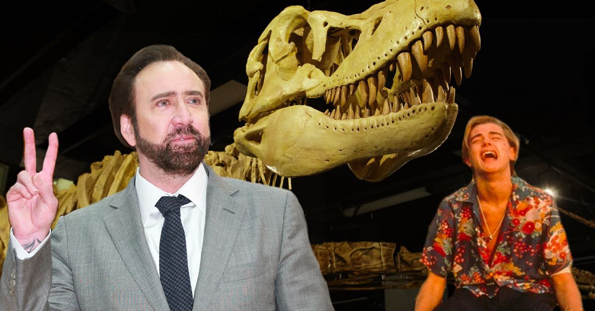Nicolas Cage Uma vez fora oferece a Leo DiCaprio um crânio de dinossauro roubado … É aqui que está agora