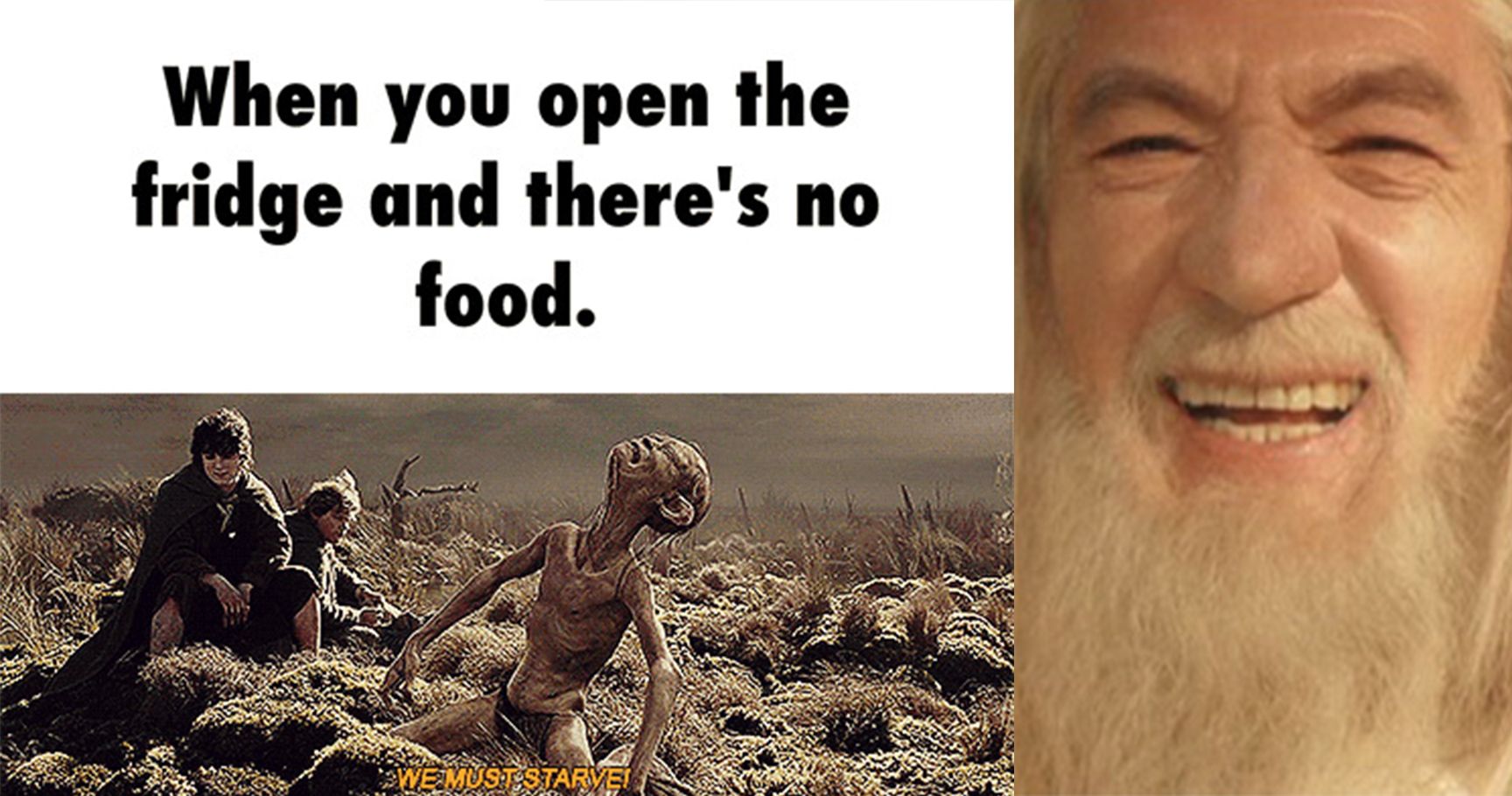 15 memes que farão qualquer verdadeiro fã de ‘Lord of the Rings’ LOL