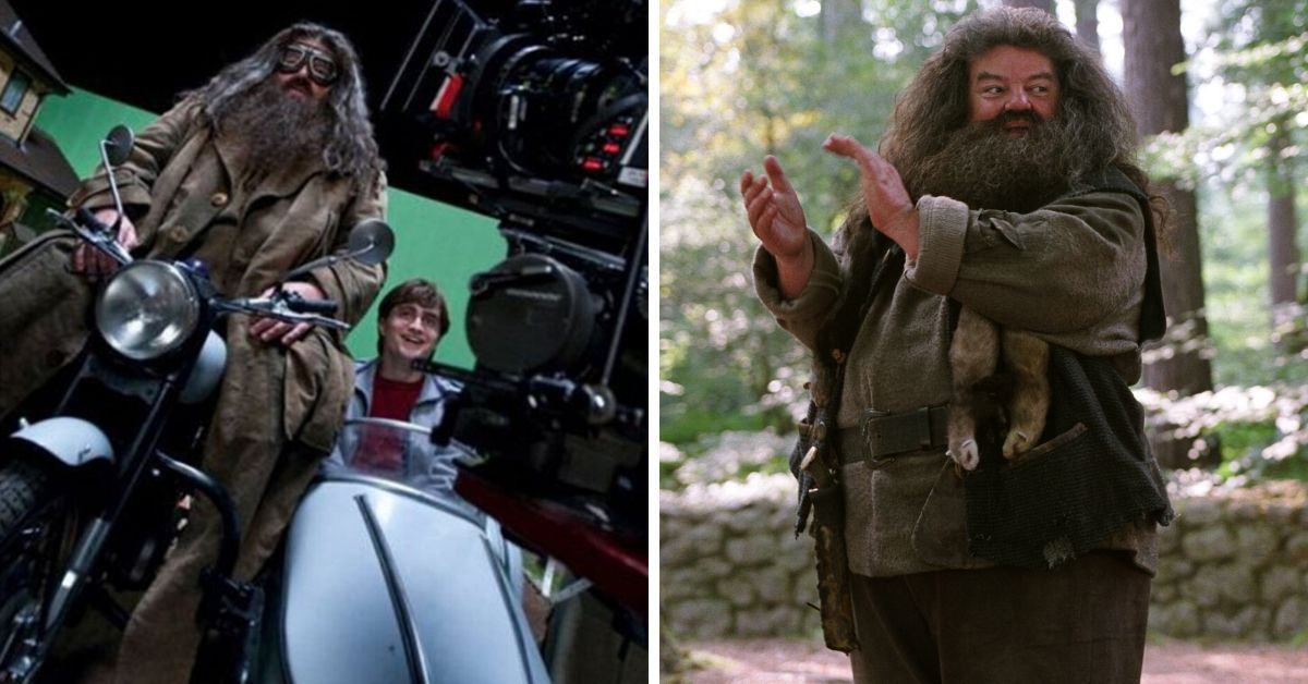 15 coisas que nunca soubemos sobre o guarda-caça de Hogwarts, Hagrid