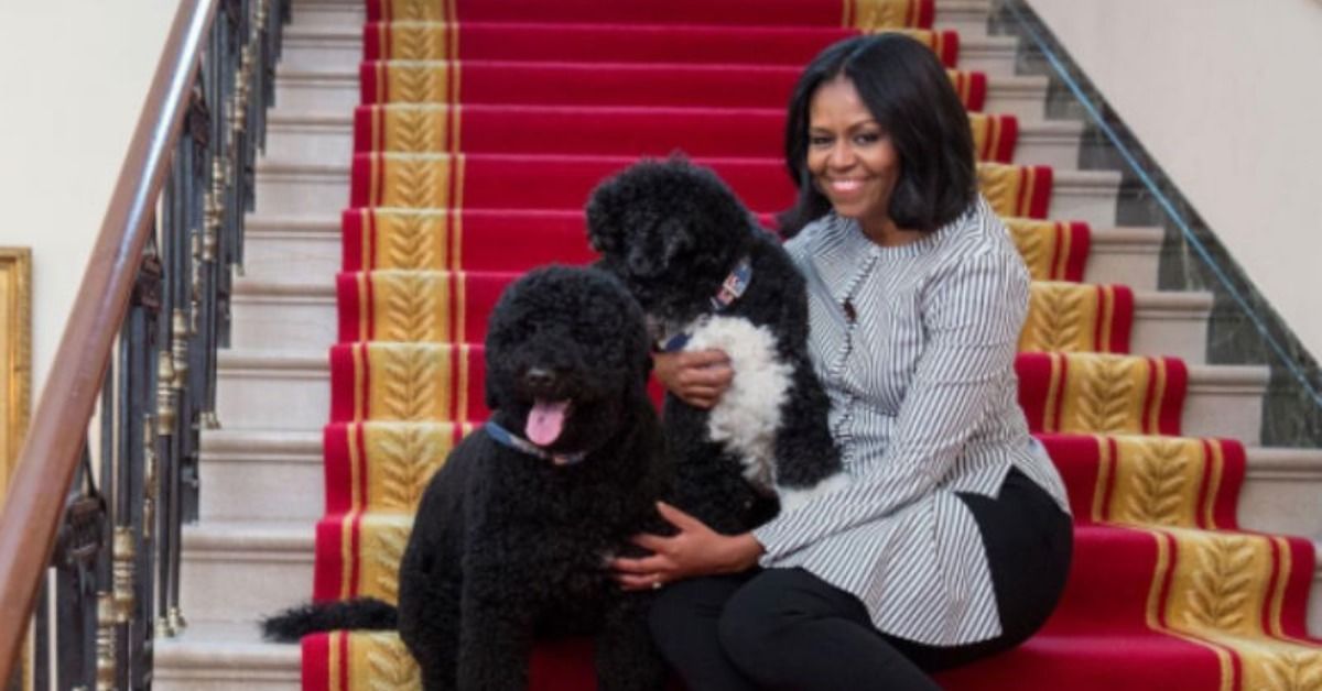 Michelle Obama e outras celebridades exibem seus amigos peludos para #NationalPetDay