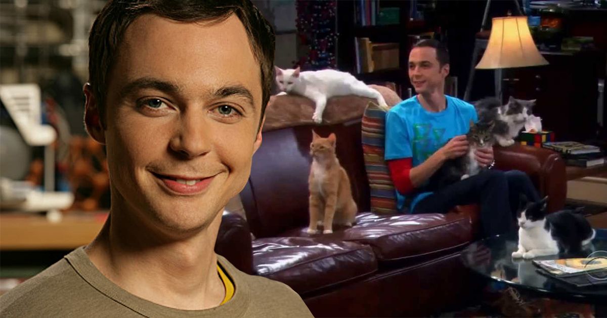 Fãs pegaram um erro no relacionamento de Sheldon com gatos em The Big Bang Theory