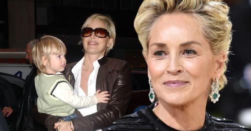 Sharon Stone perdeu a custódia de seu filho Roan – veja como está o relacionamento hoje