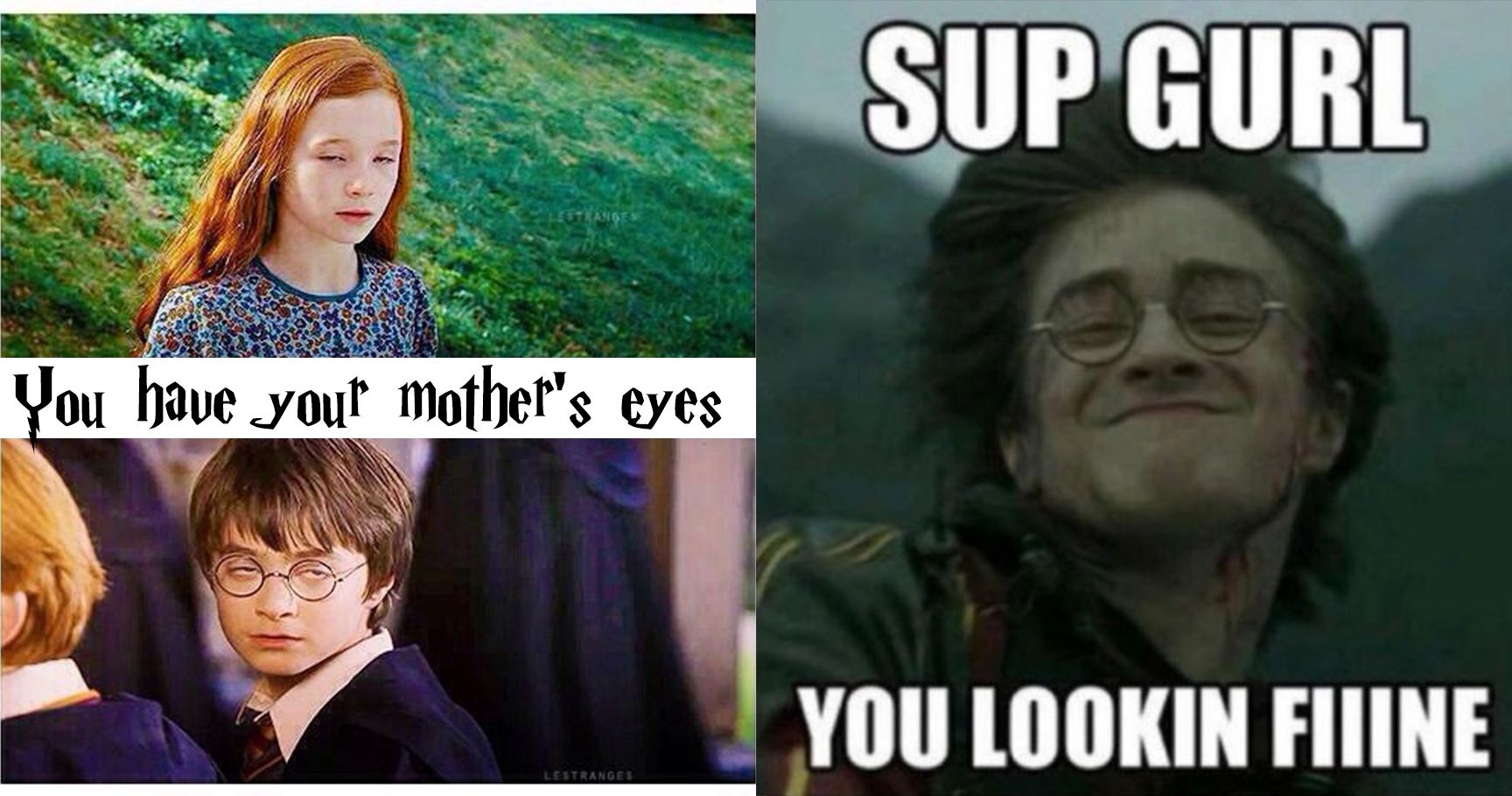 15 vezes 'Harry Potter' ganhou a Internet (Memes)