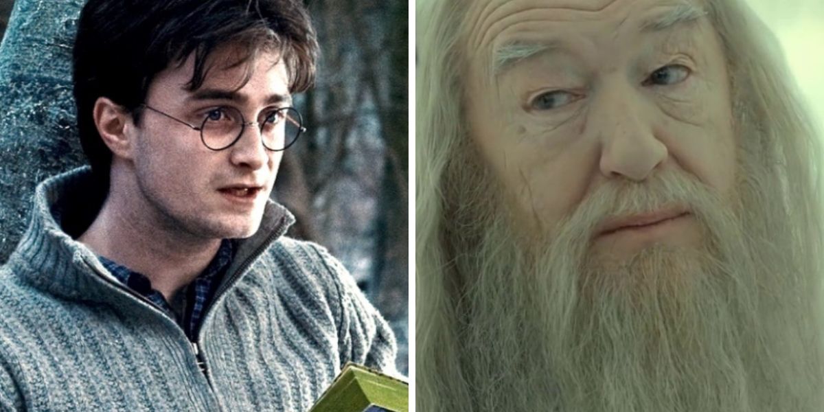 20 coisas que os fãs ignoram sobre o relacionamento de Harry e Dumbledore