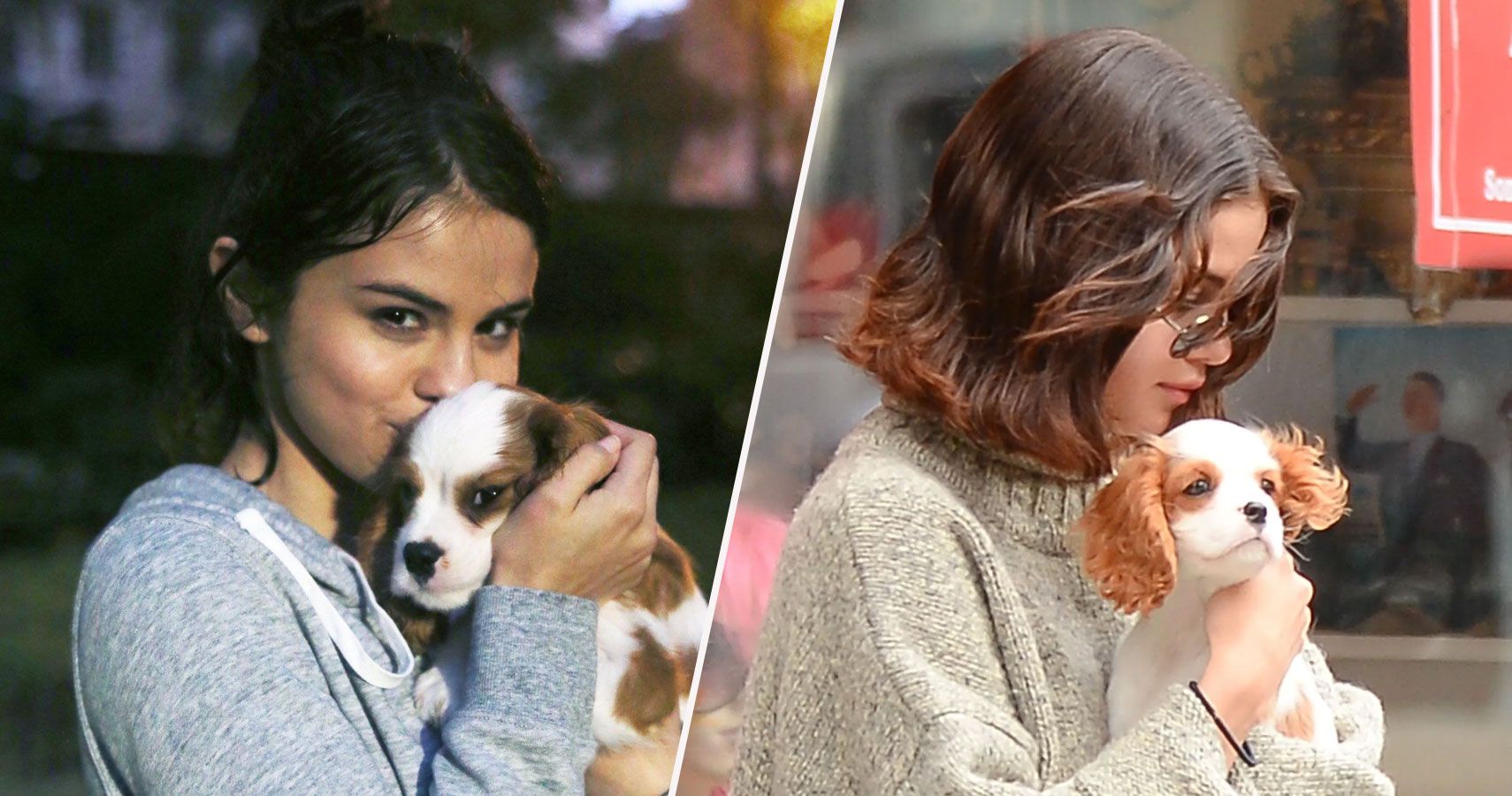 Selena Gomez mostra novo cachorrinho adorável no Instagram