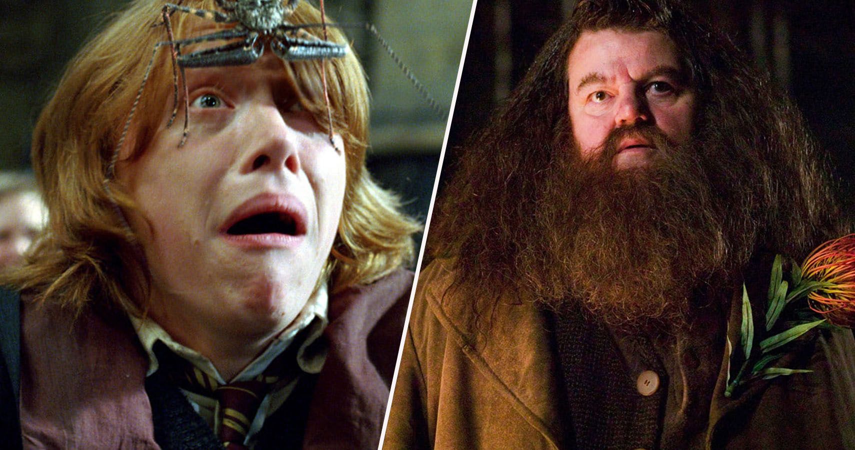5 atores que odiaram seu tempo em Harry Potter (e 10 que o amaram)