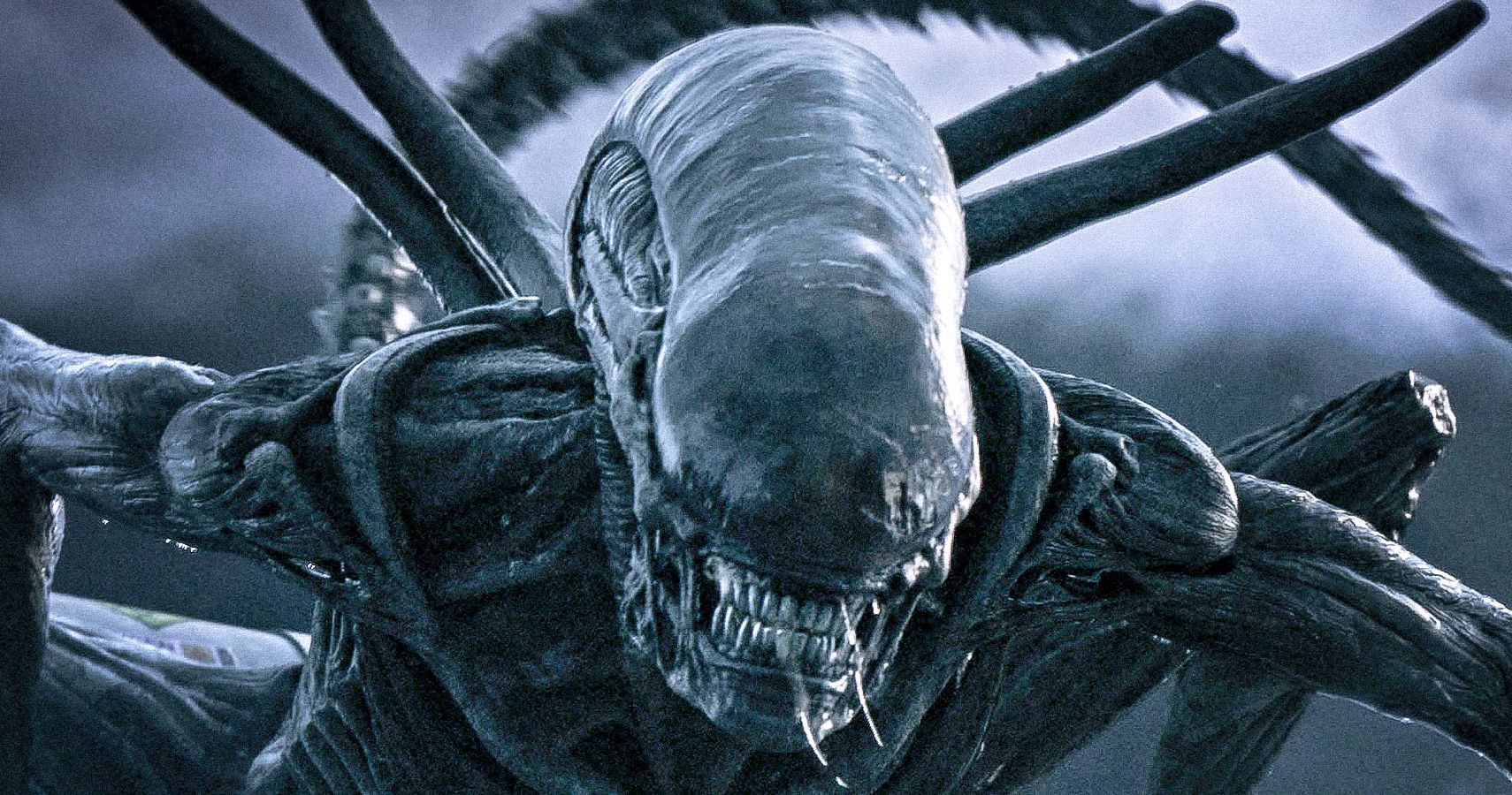 O criador alienígena Ridley Scott acha que a série precisa evoluir novamente