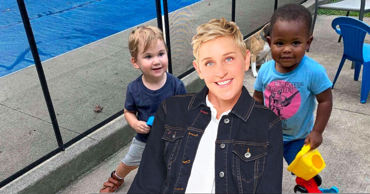 Ellen DeGeneres entrevista estrelas virais Maxwell e Finnegan que nos lembram a cor não importa
