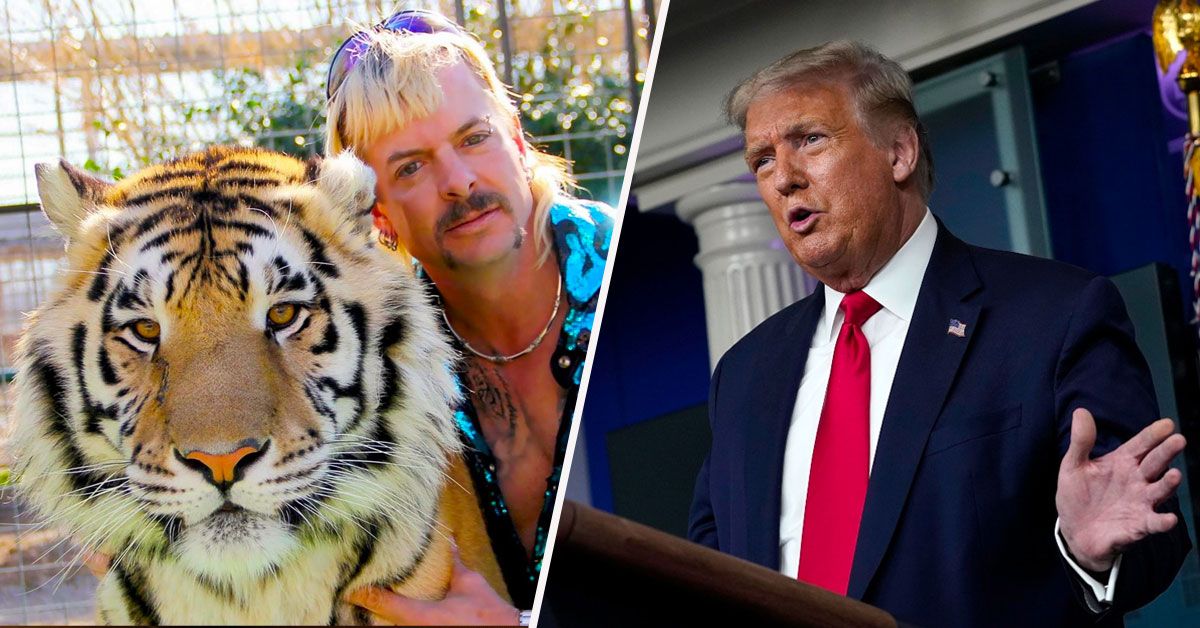 O Twitter está conspirando para que Trump queira perdoar 'Tiger King' Star Joe Exotic