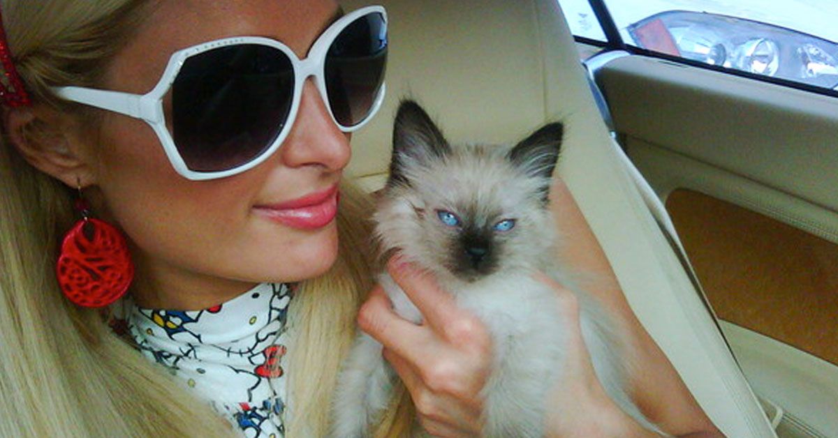 Paris Hilton está vendendo um retrato feito por ela mesma para caridade