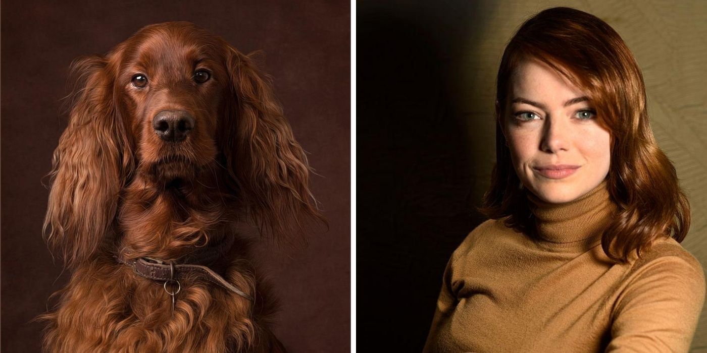 10 cães que se parecem exatamente com celebridades