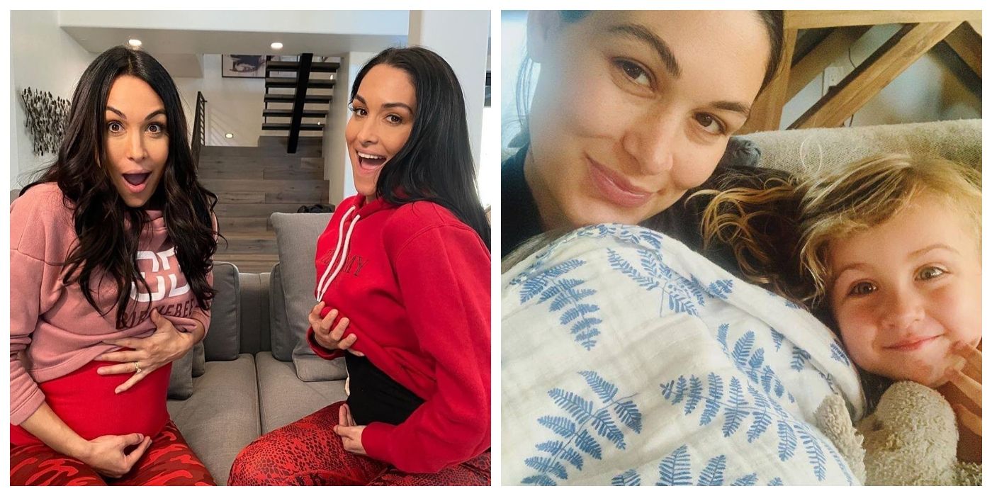 Tudo o que sabemos sobre Nikki & Bebês de Brie Bella