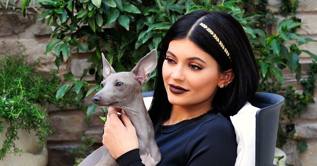 10 maneiras tolas que os Kardashians mimam seus cachorros de estimação