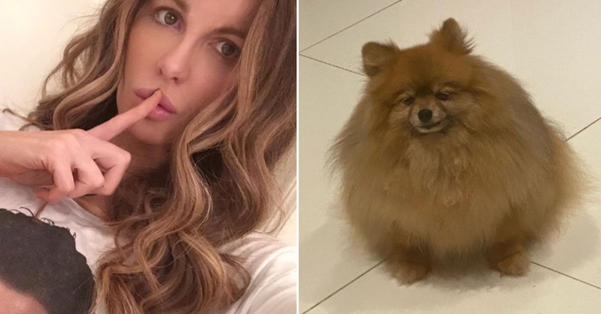 Kate Beckinsale assusta seu cachorro com sons de peido, tem um vídeo para provar isso