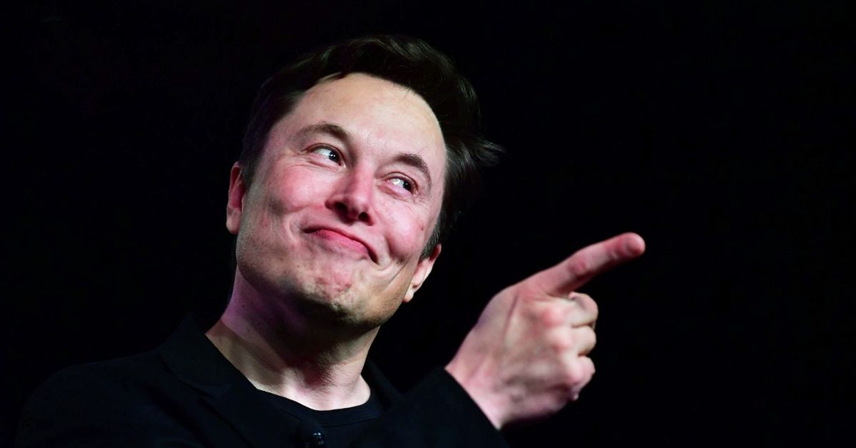 O projeto mais recente de Elon Musk é arrasado por ambientalistas