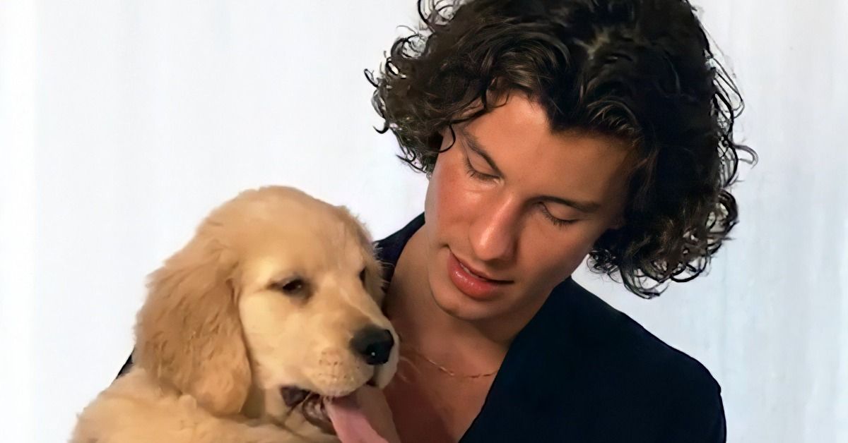 Shawn Mendes derrete o coração dos fãs ao compartilhar uma foto com seu cachorro