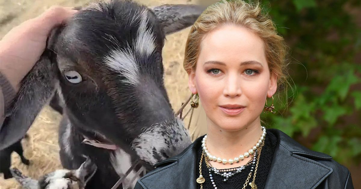 Jennifer Lawrence tem 'TikTok' secreto dedicado à 'vida na fazenda' e cabras
