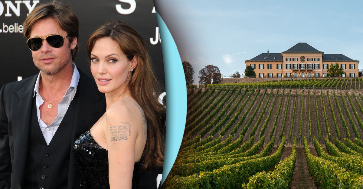 A Polêmica da Vinícola Miraval – Brad Pitt, Angelina Jolie e o Divórcio Turbulento